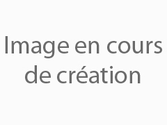 Détails : Depann Elec : électricien dans la région parisienne