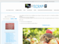 Image Fond Ecran, une multitude de fonds d'écran HD
